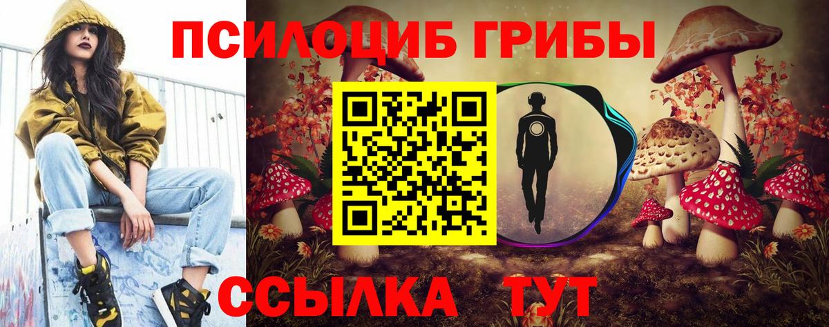 Псилоцибиновые грибы MAGIC MUSHROOMS Кохма